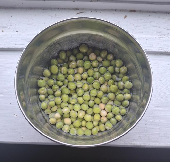soaked peas