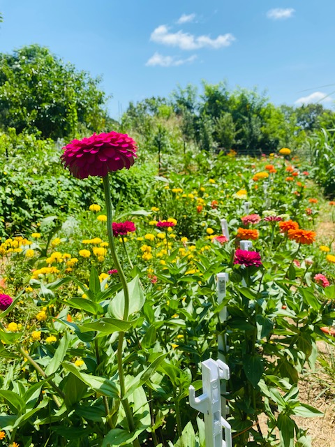 [Thumbnail for 482241550_8829857710449482_1686840938606999736_n-Copy-Copy.jpg]