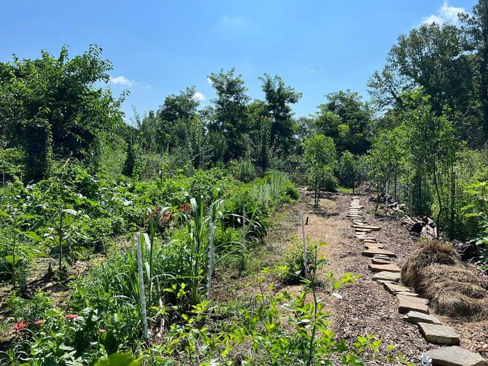 [Thumbnail for 487479375_1232087052252359_7991491868477558356_n-Copy-Copy.jpg]