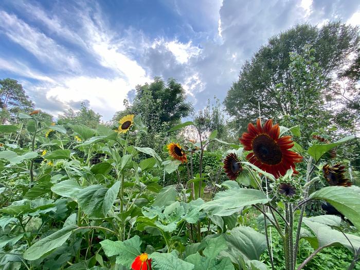 [Thumbnail for 487826371_1232086928919038_8685794771017753539_n-Copy-Copy.jpg]