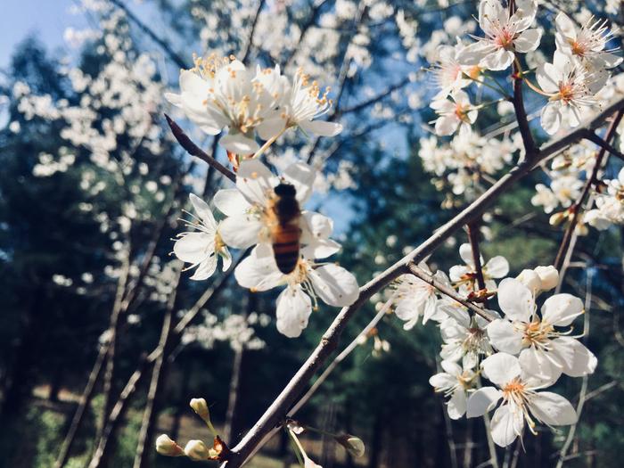 [Thumbnail for 490841496_1247006970760367_1406214717094755961_n-Copy-Copy.jpg]