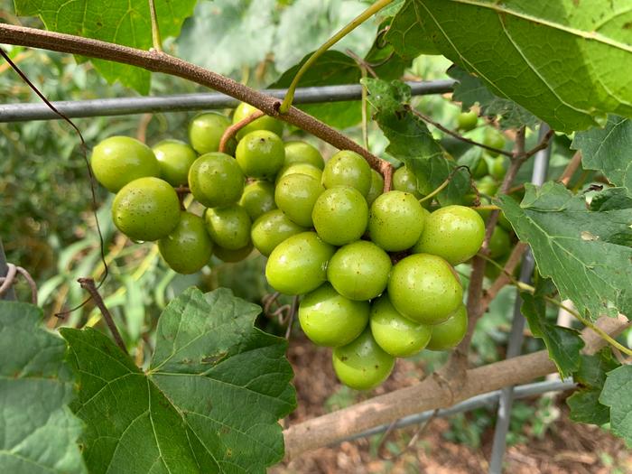 [Thumbnail for 491199295_1254461626681568_5378287654135890568_n-Copy-Copy.jpg]