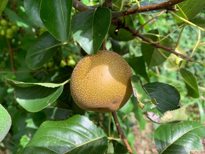 [Thumbnail for 492072859_1254461613348236_1070899305081365272_n-Copy-Copy.jpg]