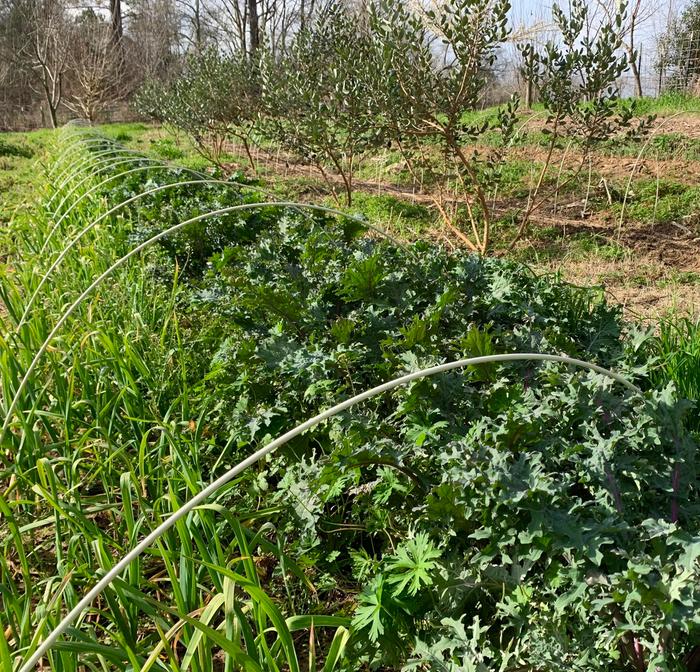 [Thumbnail for 497448885_1271809394946791_9032412849233203600_n-Copy-Copy.jpg]