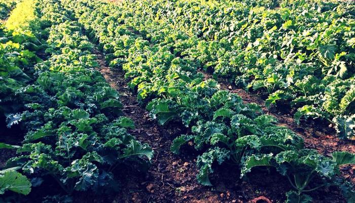 [Thumbnail for 506651263_9485396441562269_5201699437860046844_n-Copy-Copy.jpg]