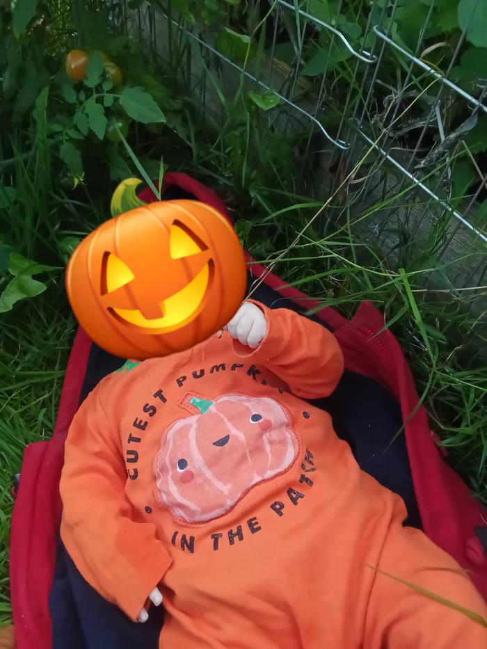 [Thumbnail for 86ed85ff-f653-4b15-94c1-86f974e7e44a.jpg]