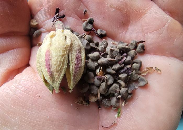 [Thumbnail for 20260110_151425.jpg]