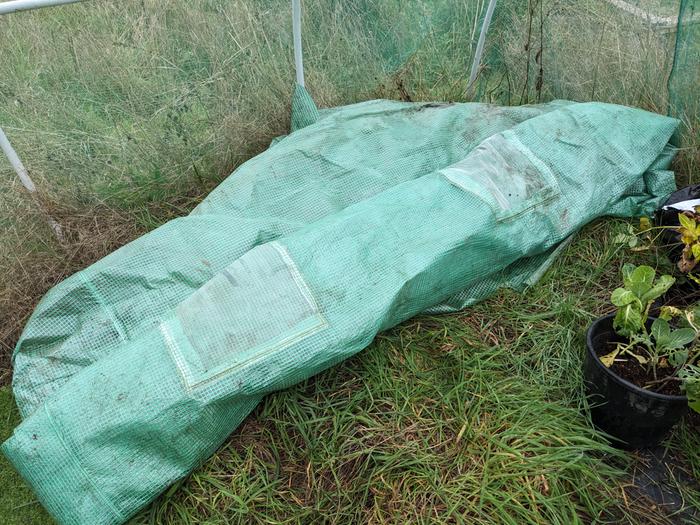 Folded polytunnel cover, with windows visible