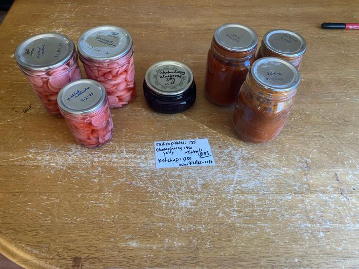 1,855 calories. Radishes from the garden, chokecherries foraged (just missed a jar in the last photo) tomatoes were organic and gifted to me.