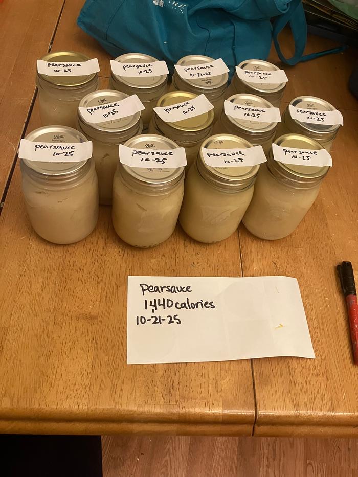 Had to do some scary climbing to reach the top of the pear tree, but it’s so worth it!