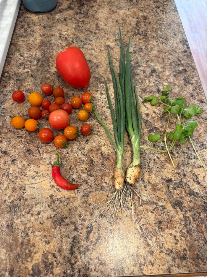 Salsa ingredients!!