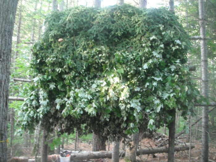 Leaf hay rack