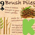 [Thumbnail for Brush-piles-card-and-K.png]