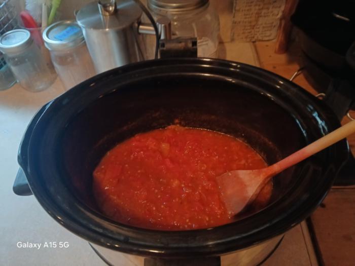 tomato sauce in a crock pot on a kitchen counter at Wheaton Laboratories