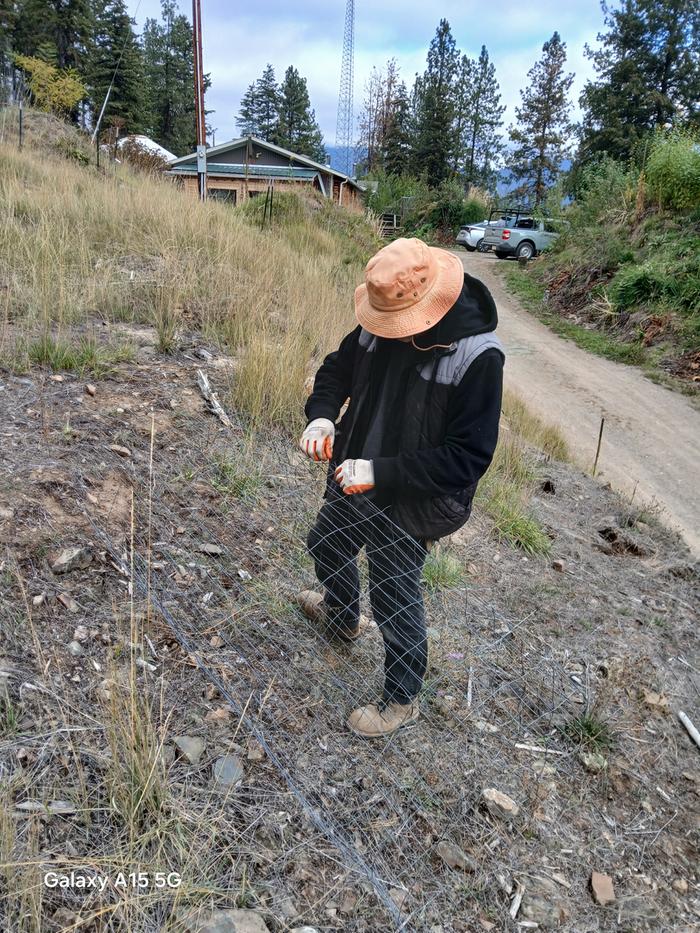 someone works with fencing at Wheaton Labs