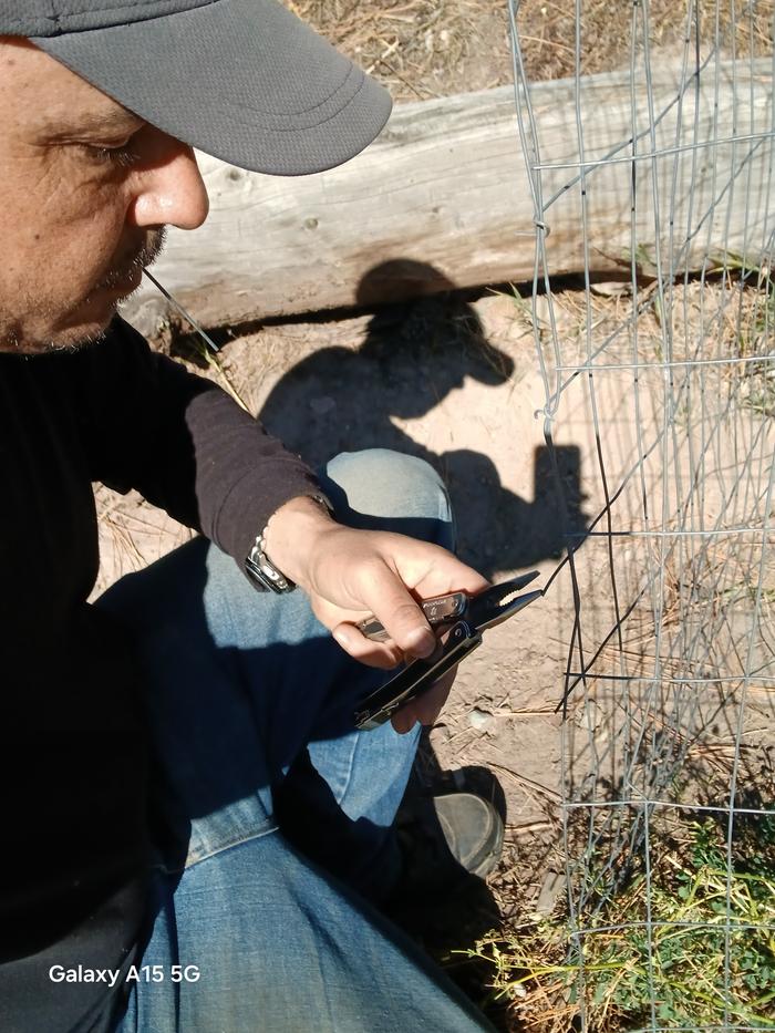 Always prepared with a Victorinox Spirit .......