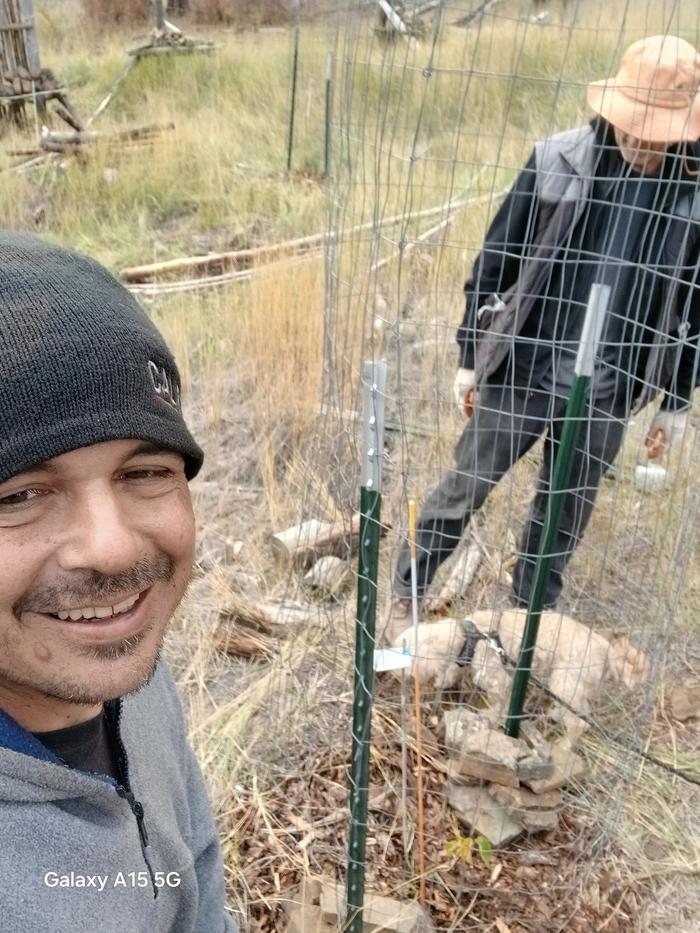 Esteban and Stephen finished a mini-fence to protect some seedling trees