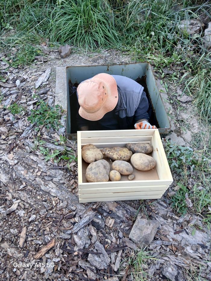 I still swear Stephen is descending down to an old Cold War era bunker with the crate of potatoes lol