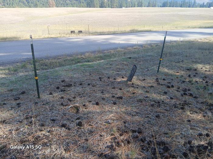 It seems I have OCD ... I want to fix that ....