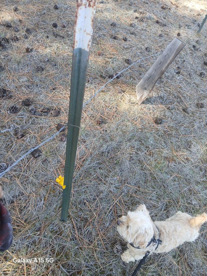 [Thumbnail for 20251018_144749.jpg]