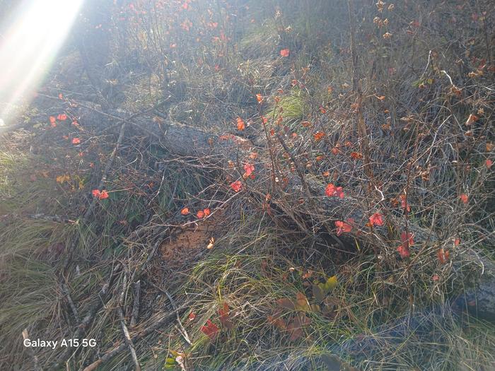 [Thumbnail for 20251018_145304.jpg]