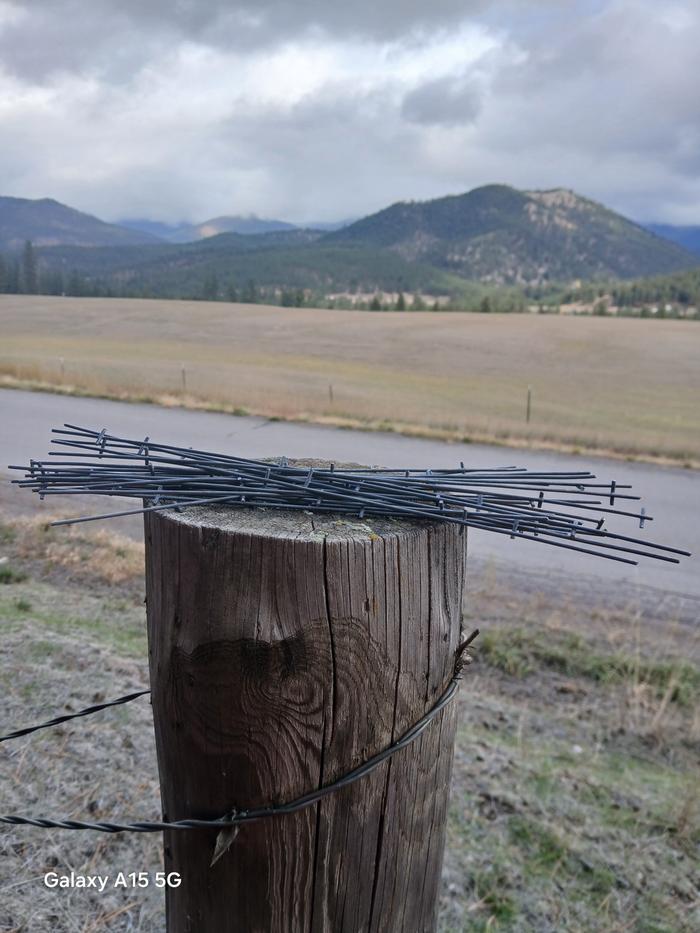 Just some scrap wire I cut down to use as tie off's for the barbed wire fence