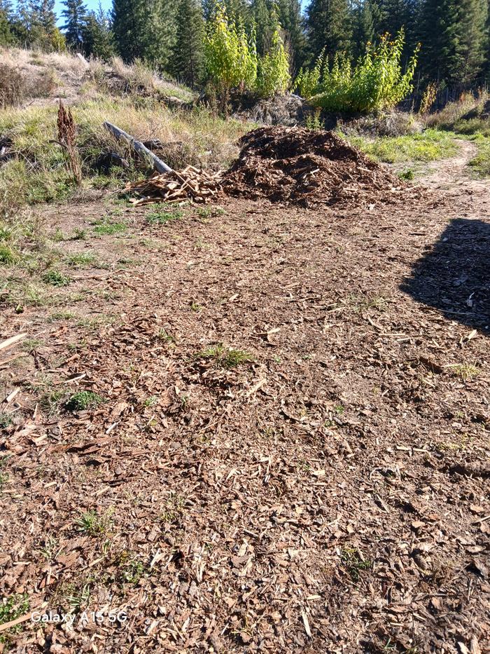 [Thumbnail for 20251021_113736.jpg]