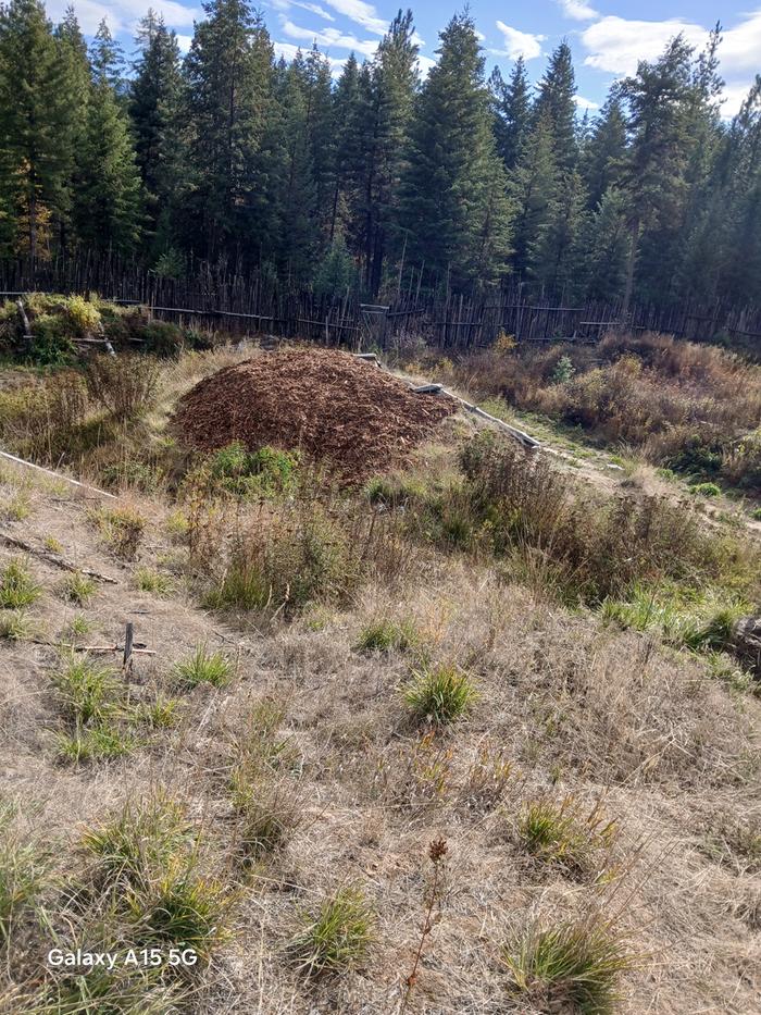 [Thumbnail for 20251023_111820.jpg]