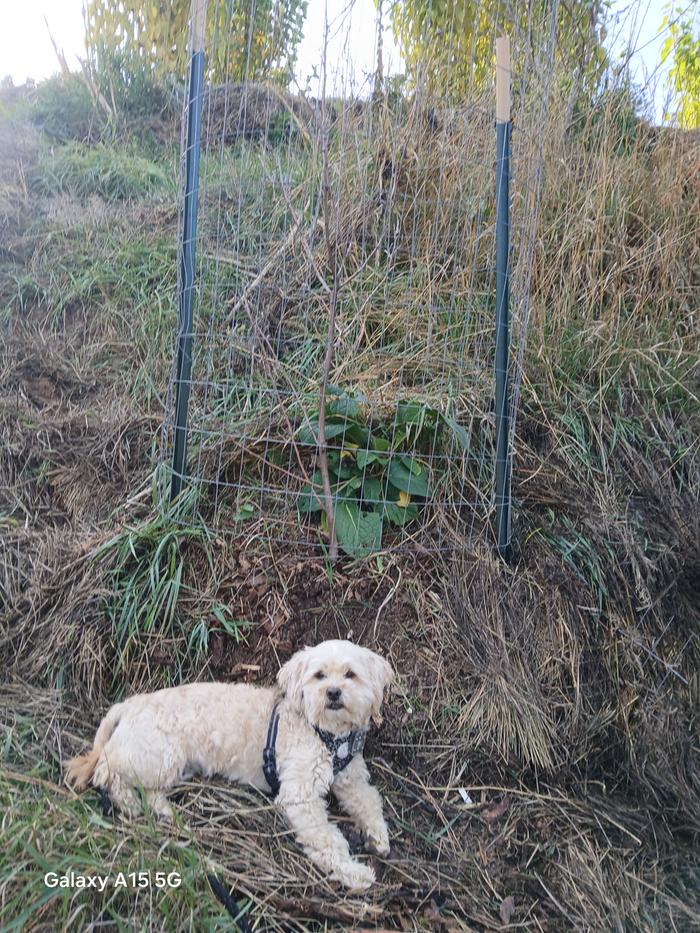 [Thumbnail for 20251023_155617.jpg]