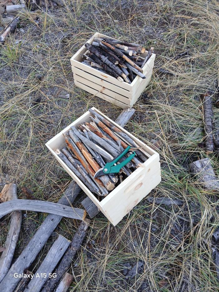 [Thumbnail for 20251023_165106.jpg]