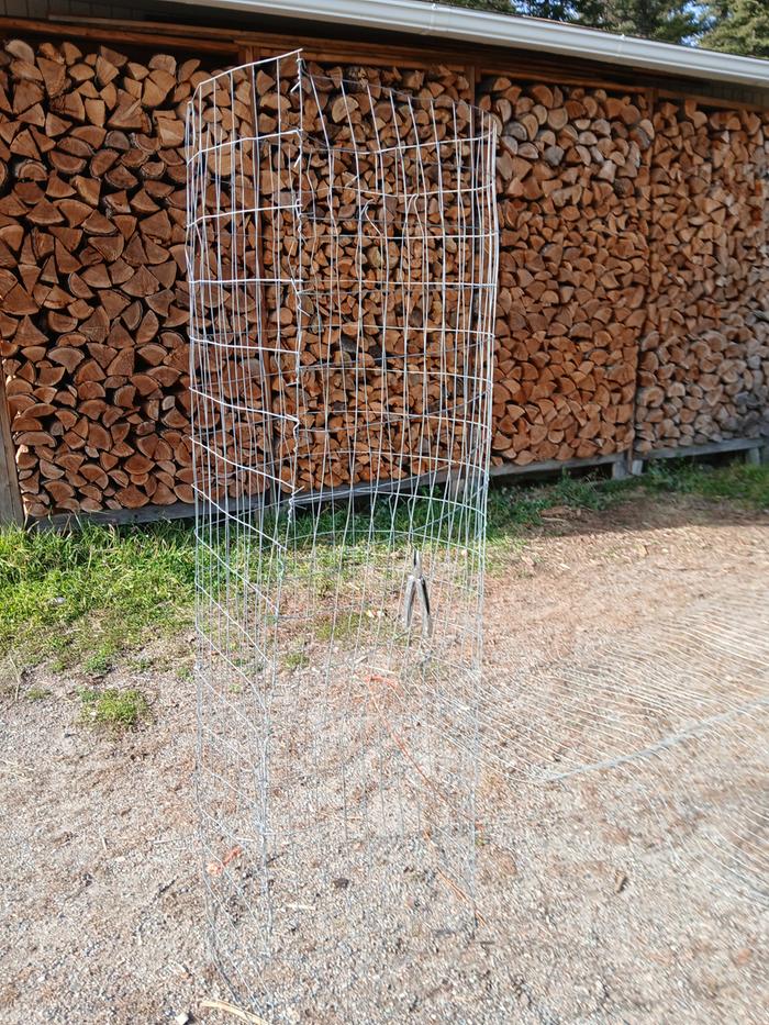 Building some tree cages 