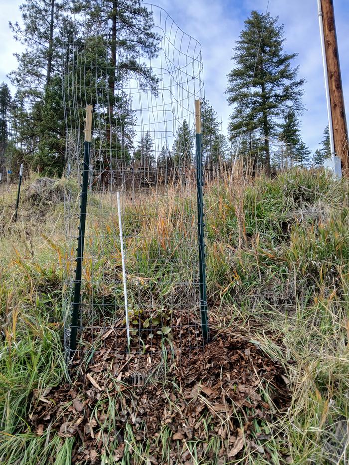 [Thumbnail for 20251028_142450.jpg]