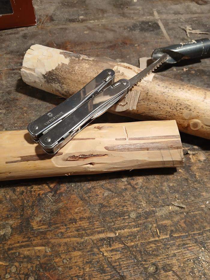 [Thumbnail for 20251029_135637.jpg]