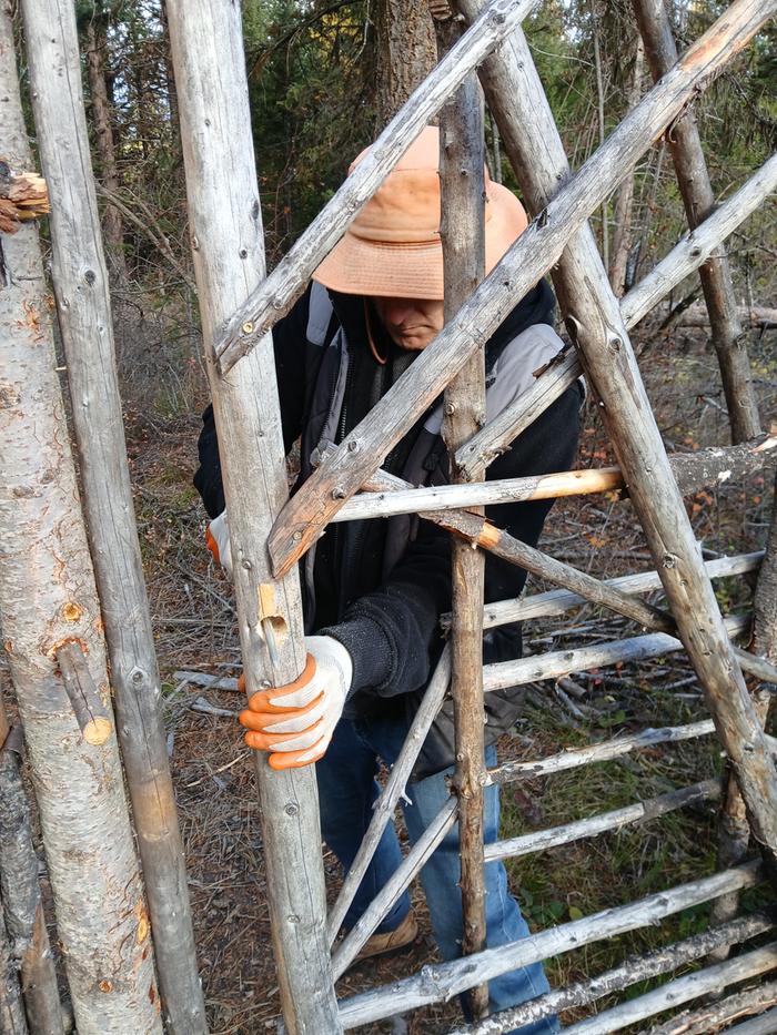 [Thumbnail for 20251029_153000.jpg]