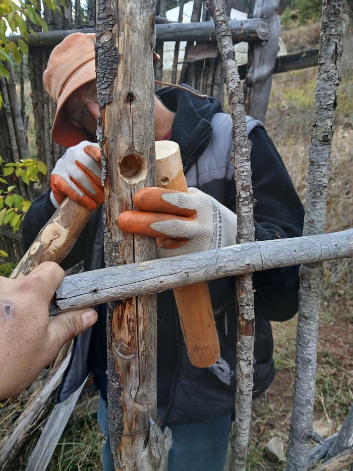 [Thumbnail for 20251029_144337.jpg]