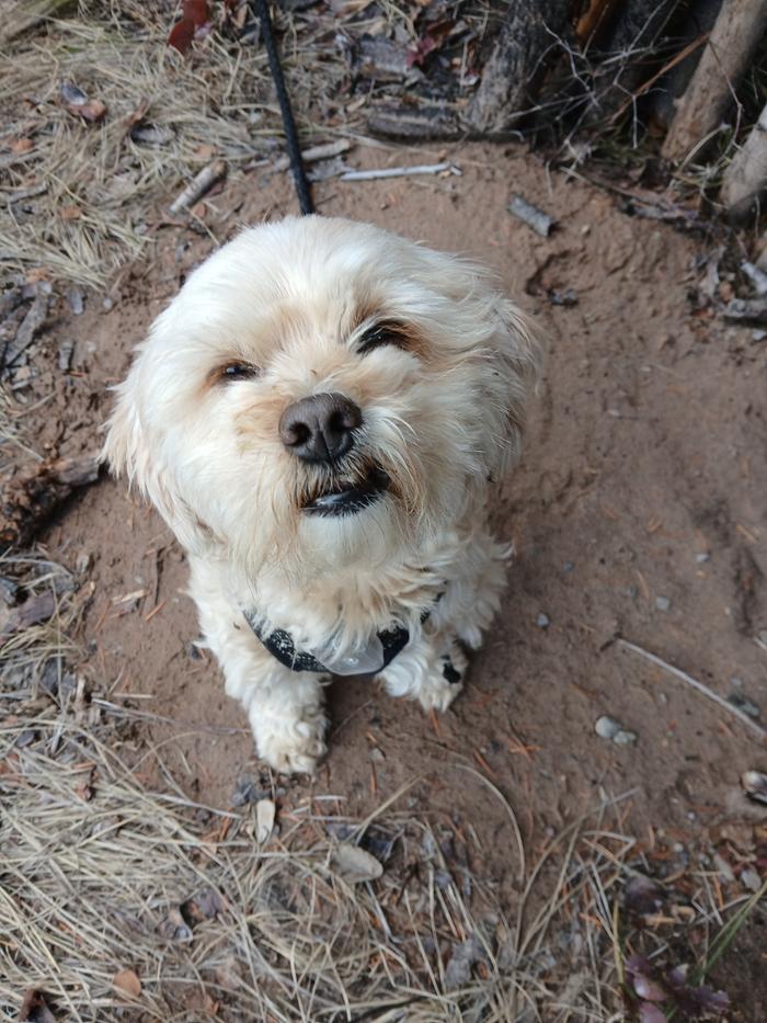 Our little cute mascot 