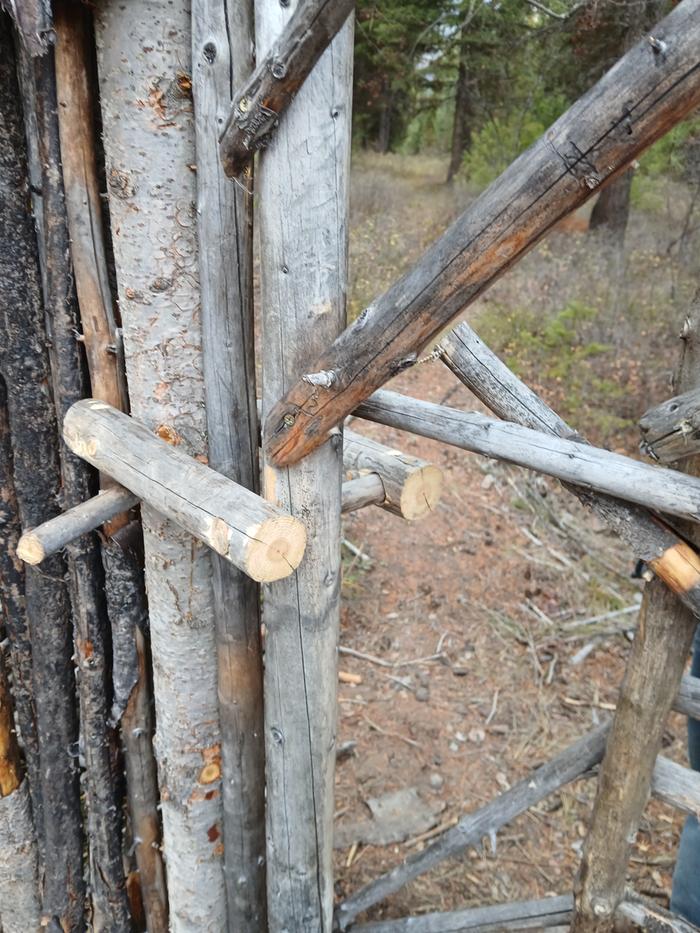 [Thumbnail for 20251029_154236.jpg]