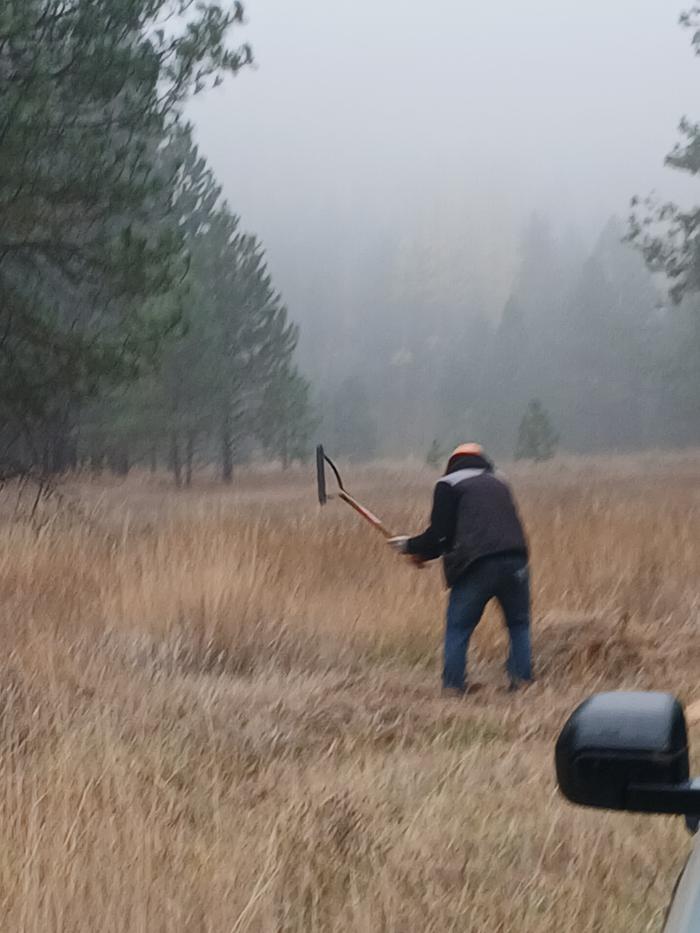 [Thumbnail for 20251030_101613.jpg]