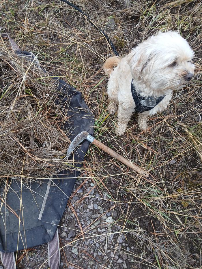 [Thumbnail for 20251030_101826.jpg]