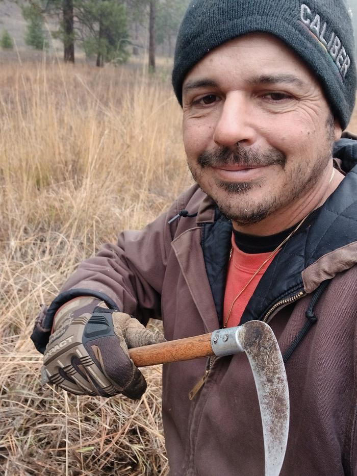 Time to harvest some mulch