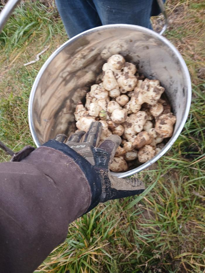 [Thumbnail for 20251030_110830.jpg]