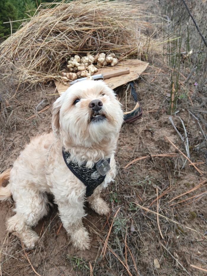 This boot ready to play in the dirt lol 