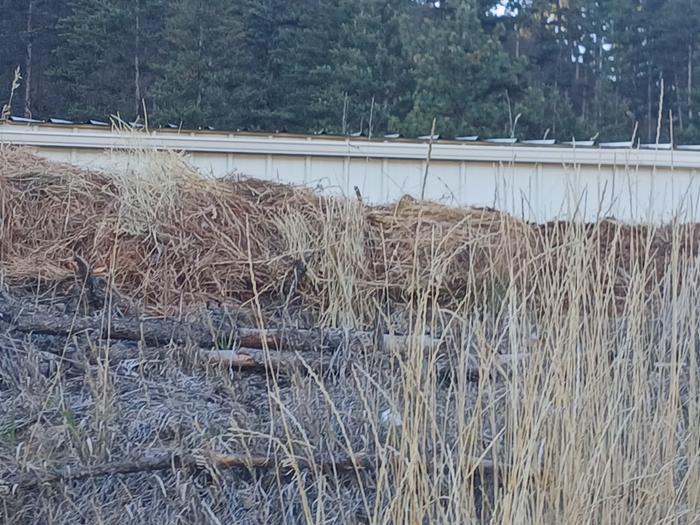 Mulching at the bermshed 