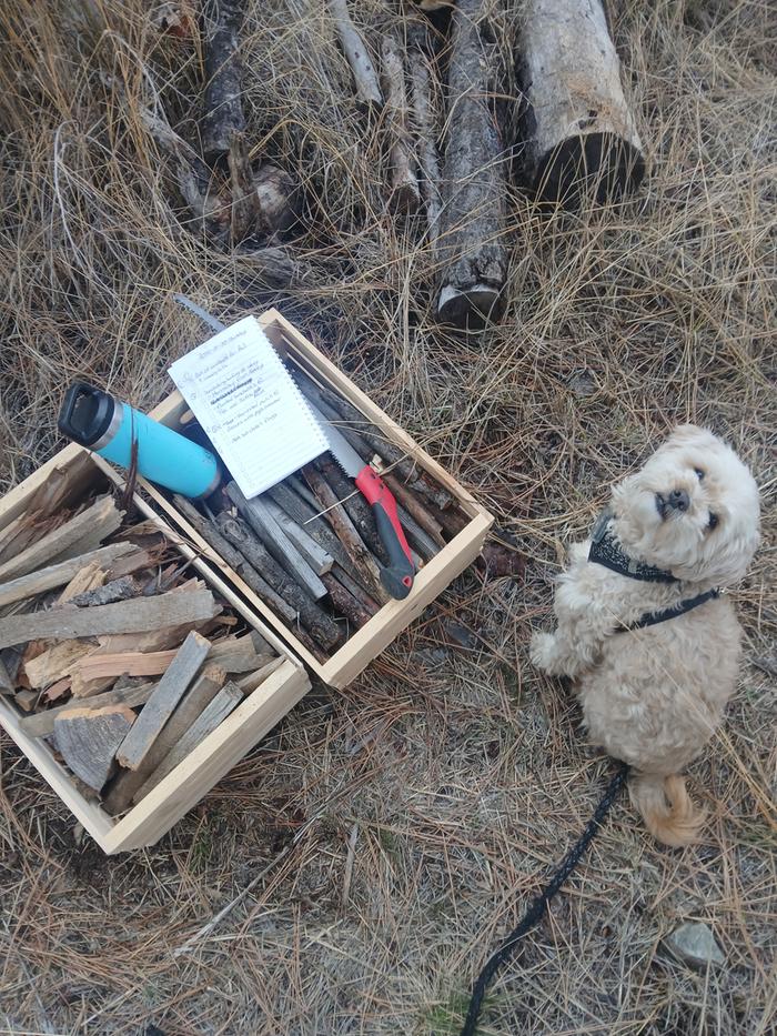 [Thumbnail for 20251031_092212.jpg]