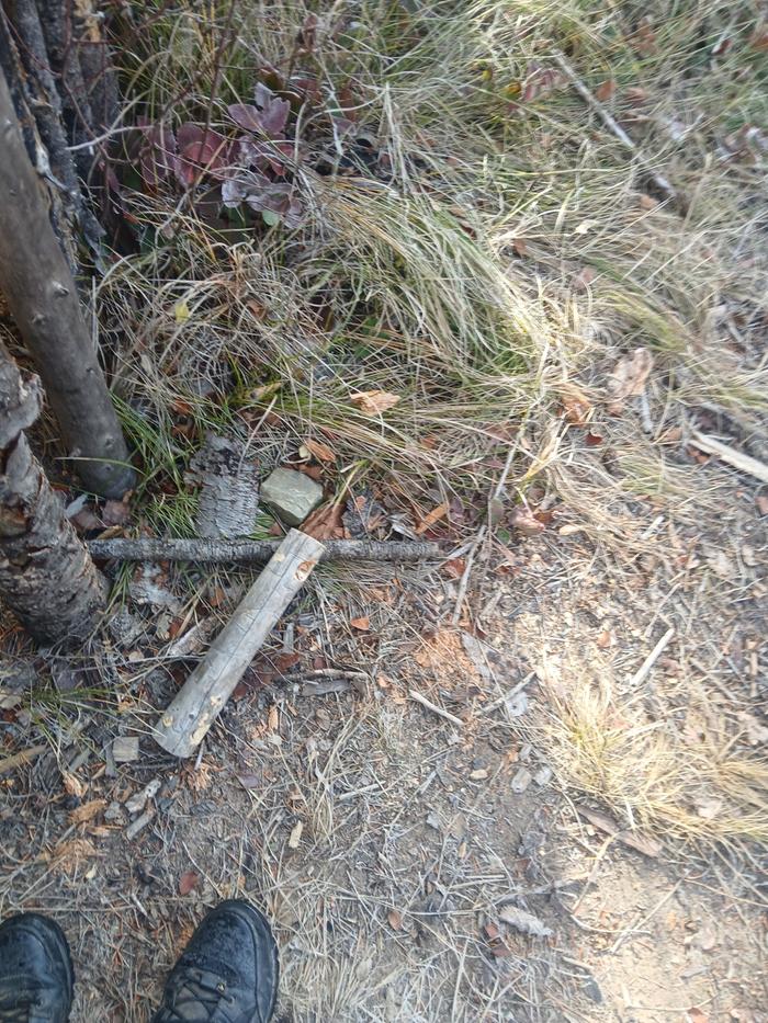 [Thumbnail for 20251031_105149.jpg]