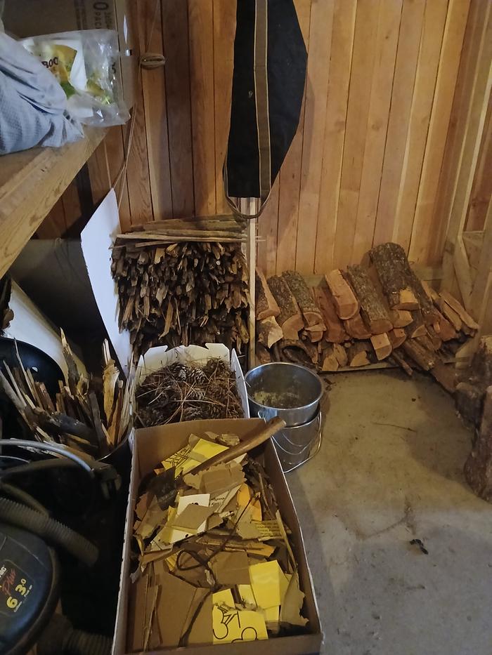 Now I need to start filling up on the split firewood