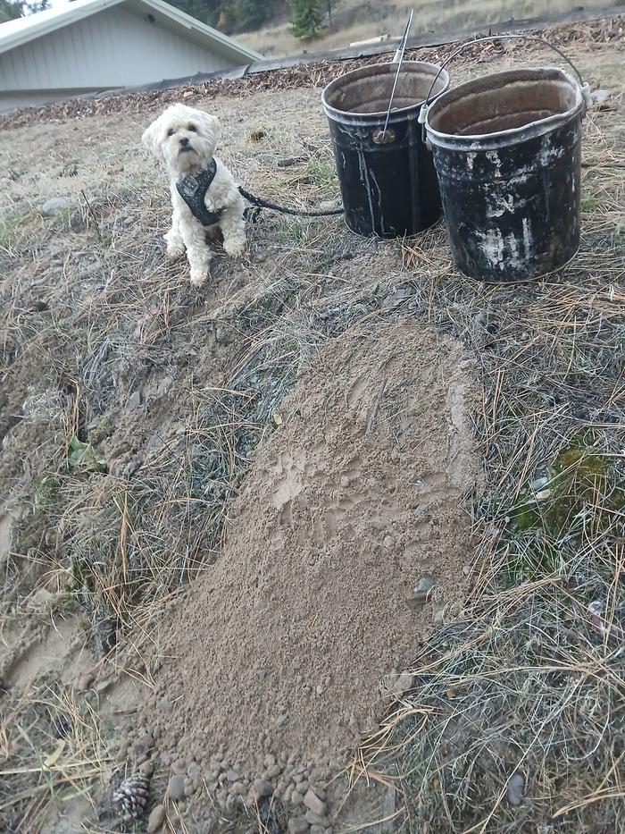 [Thumbnail for 20251101_182012.jpg]