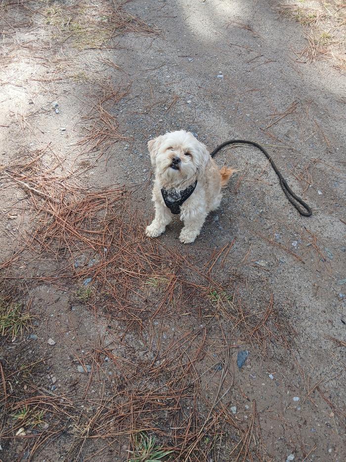 [Thumbnail for 20251106_124234.jpg]