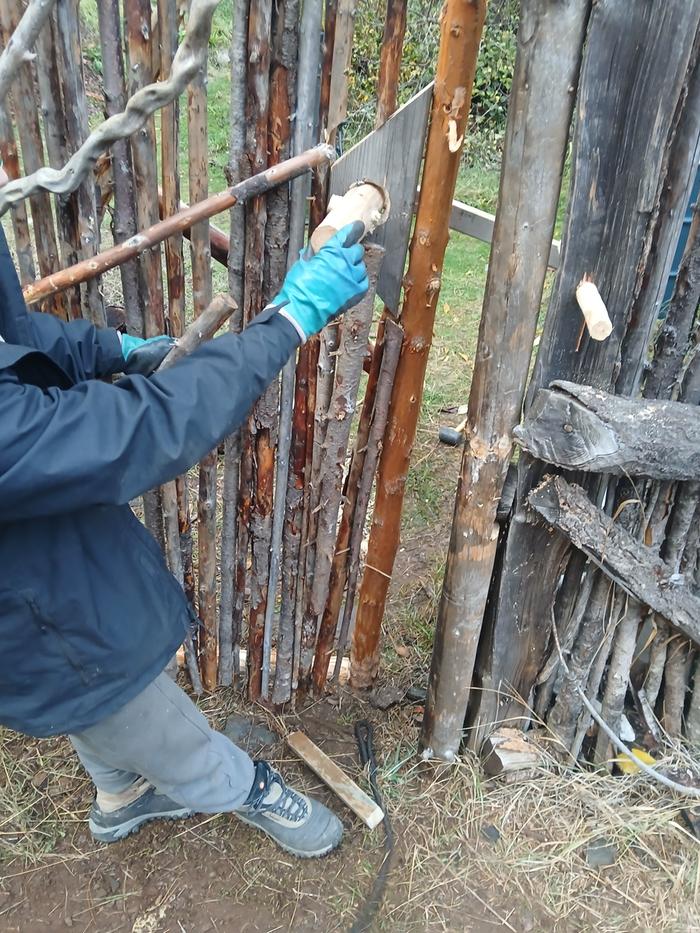 [Thumbnail for 20251106_163930.jpg]