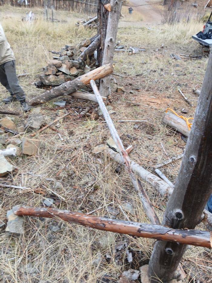 [Thumbnail for 20251107_151133.jpg]